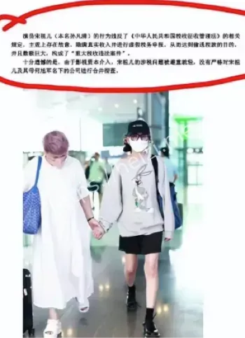 宋祖儿税务疑云